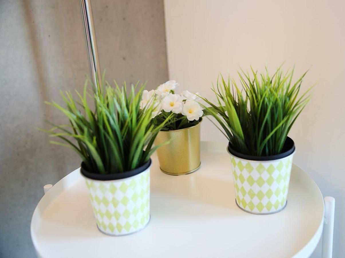Family Studio Aveiro Apartment Luaran gambar